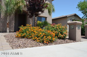 2684 E Rakestraw Ct, Gilbert, AZ 85298 photo 3