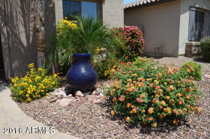 2684 E Rakestraw Ct, Gilbert, AZ 85298 photo 5