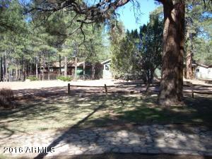 2036 Moccasin Cir, Overgaard, AZ 85933 photo 12