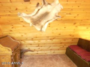 2036 Moccasin Cir, Overgaard, AZ 85933 photo 33