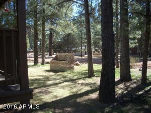2036 Moccasin Cir, Overgaard, AZ 85933 photo 13