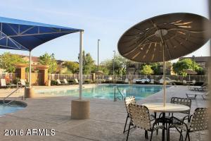 3155 E Harrison St, Gilbert, AZ 85295 photo 36