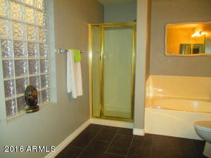 416 E Milada Dr, Phoenix, AZ 85042 photo 37