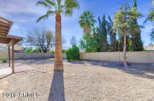 4543 E Hearn Rd, Phoenix, AZ 85032 photo 21