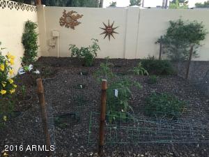 5417 E Flower St, Phoenix, AZ 85018 photo 23