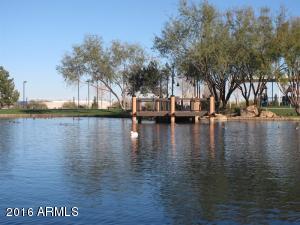 3519 S Bluejay Dr, Gilbert, AZ 85297 photo 43