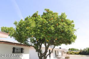 5839 E Duncan St, Mesa, AZ 85205 photo 22