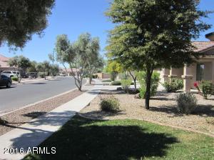 3520 E Crescent Way, Gilbert, AZ 85298 photo 19