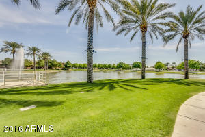 4101 E Cullumber Ct, Gilbert, AZ 85234 photo 39