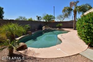 1687 E Cheyenne St, Gilbert, AZ 85296 photo 14