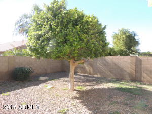 7637 E Posada Ave, Mesa, AZ 85212 photo 22