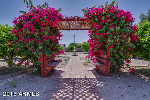6565 E Adobe Rd, Mesa, AZ 85205 photo 40