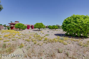6565 E Adobe Rd, Mesa, AZ 85205 photo 48