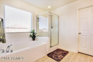 11154 E Sebring Ave, Mesa, AZ 85212 photo 50