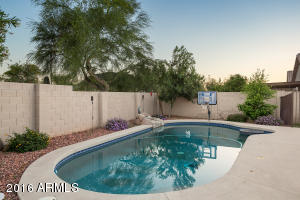 2109 E Daley Ln, Phoenix, AZ 85024 photo 7