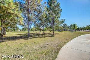 4232 E Paradise Dr, Phoenix, AZ 85028 photo 46