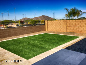 3113 E Half Hitch Pl, Phoenix, AZ 85050 photo 8