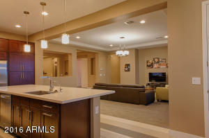 3113 E Half Hitch Pl, Phoenix, AZ 85050 photo 7