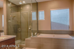 3113 E Half Hitch Pl, Phoenix, AZ 85050 photo 6