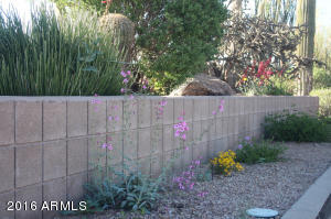 9551 E Kramer Cir, Mesa, AZ 85207 photo 31