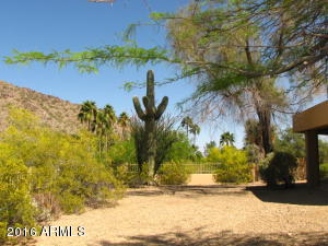 8610 N Skyline Dr, Phoenix, AZ 85028 photo 19
