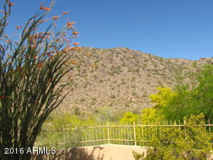 8610 N Skyline Dr, Phoenix, AZ 85028 photo 23