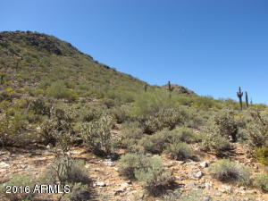 8610 N Skyline Dr, Phoenix, AZ 85028 photo 7