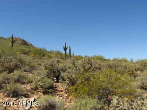 8610 N Skyline Dr, Phoenix, AZ 85028 photo 10