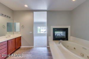 11338 E Stanton Ave, Mesa, AZ 85212 photo 18