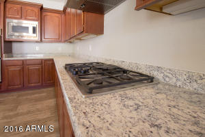 11338 E Stanton Ave, Mesa, AZ 85212 photo 38
