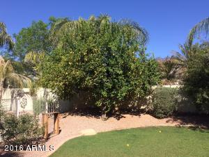 2974 E Park Ave, Gilbert, AZ 85234 photo 34