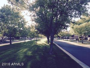 2974 E Park Ave, Gilbert, AZ 85234 photo 4