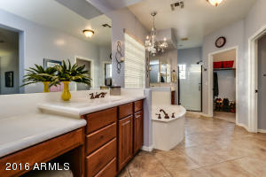 963 E Lodgepole Dr, Gilbert, AZ 85298 photo 61