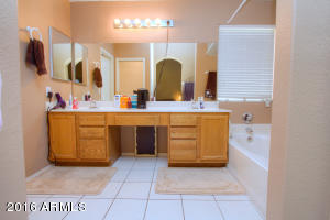 189 W Patrick St, Gilbert, AZ 85233 photo 20