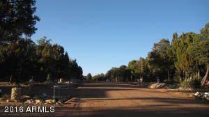3530 Black Bear Run, Overgaard, AZ 85933 photo 24