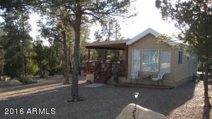 3530 Black Bear Run, Overgaard, AZ 85933 photo 22