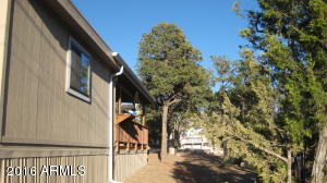 3530 Black Bear Run, Overgaard, AZ 85933 photo 17