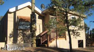 3530 Black Bear Run, Overgaard, AZ 85933 photo 14