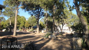 3530 Black Bear Run, Overgaard, AZ 85933 photo 19