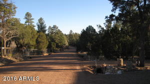 3530 Black Bear Run, Overgaard, AZ 85933 photo 23