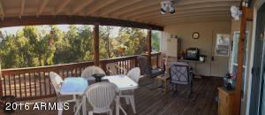 3530 Black Bear Run, Overgaard, AZ 85933 photo 11