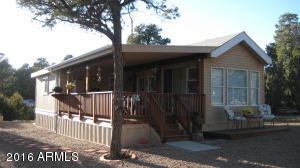 3530 Black Bear Run, Overgaard, AZ 85933 photo 1