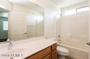 4459 E Moreno Ct, Gilbert, AZ 85297 photo 19