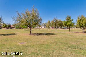 3629 E Caleb Way, Gilbert, AZ 85234 photo 33