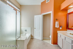 3629 E Caleb Way, Gilbert, AZ 85234 photo 17