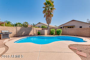 3629 E Caleb Way, Gilbert, AZ 85234 photo 26
