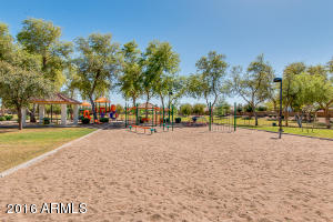 3629 E Caleb Way, Gilbert, AZ 85234 photo 36
