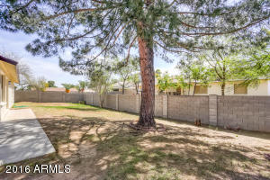 3753 E Bloomfield Rd, Phoenix, AZ 85032 photo 23