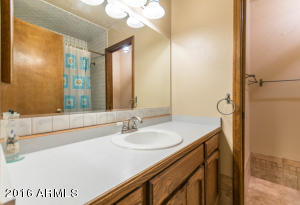 2624 Enrose St, Mesa, AZ 85213 photo 13