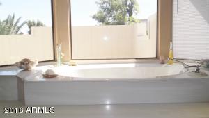 259 E Hackamore St, Mesa, AZ 85201 photo 17